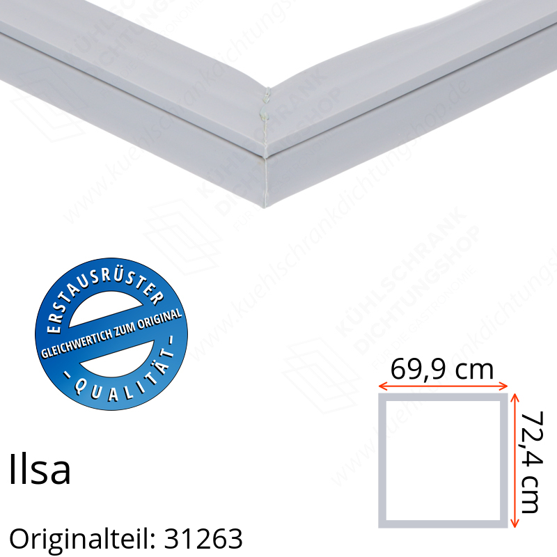 Ilsa Türdichtung 72,4 x 69,9 cm Ersatzteil: 31263 für verschiedene Modelle
