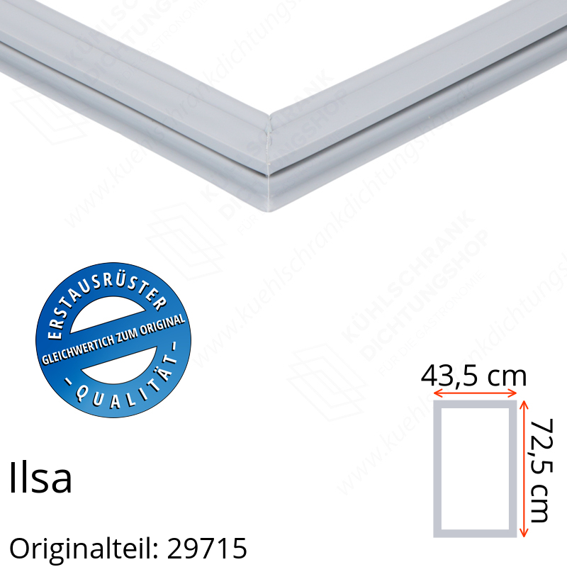 Ilsa Türdichtung 72,5 x 43,5 cm Ersatzteil: 29715 für verschiedene Modelle