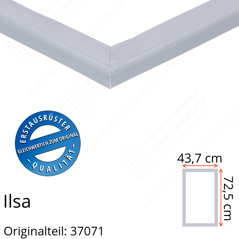 Ilsa Türdichtung 72,5 x 43,7 cm Ersatzteil: 37071 für verschiedene Modelle