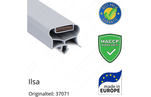 Ilsa Türdichtung 72,5 x 43,7 cm Ersatzteil: 37071 für verschiedene Modelle
