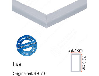 Ilsa Türdichtung 72,5 x 38,7 cm Ersatzteil: 37070 für verschiedene Modelle