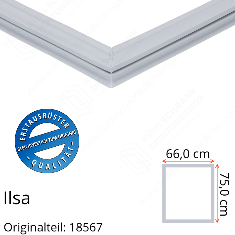 Ilsa Türdichtung 75,0 x 66,0 cm Ersatzteil: 18567 für verschiedene Modelle
