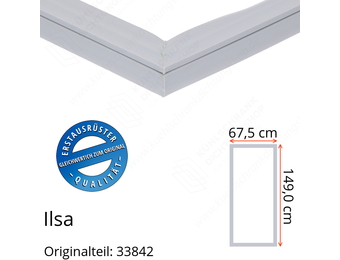 Ilsa Türdichtung 149,0 x 67,5 cm Ersatzteil: 33842 für verschiedene Modelle