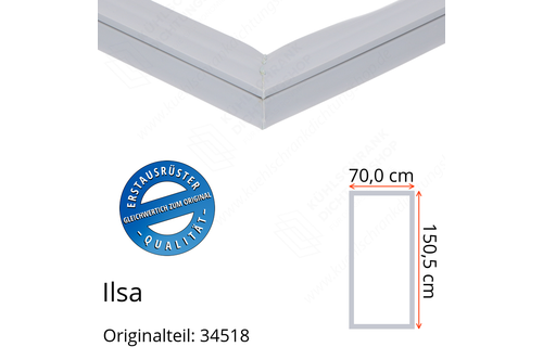 Ilsa Türdichtung 150,5 x 70,0 cm Ersatzteil: 34518 für verschiedene Modelle
