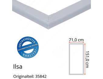 Ilsa Türdichtung 151,0 x 71,0 cm Ersatzteil: 35842 für verschiedene Modelle