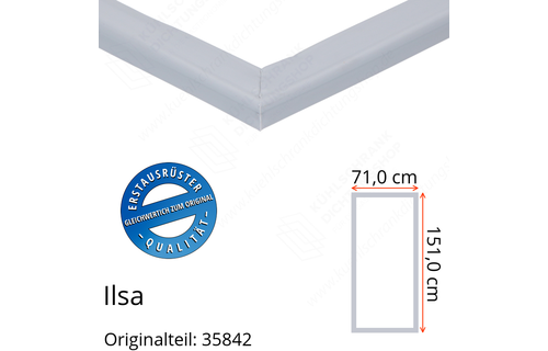 Ilsa Türdichtung 151,0 x 71,0 cm Ersatzteil: 35842 für verschiedene Modelle