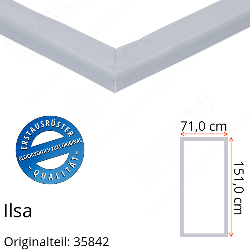 Ilsa Türdichtung 151,0 x 71,0 cm Ersatzteil: 35842 für verschiedene Modelle