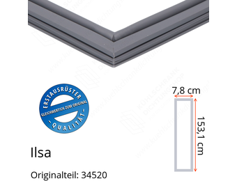 Ilsa Türdichtung 153,1 x 37,8 cm Ersatzteil: 34520 für verschiedene Modelle