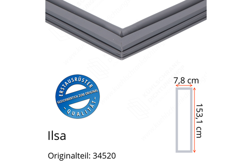 Ilsa Türdichtung 153,1 x 37,8 cm Ersatzteil: 34520 für verschiedene Modelle