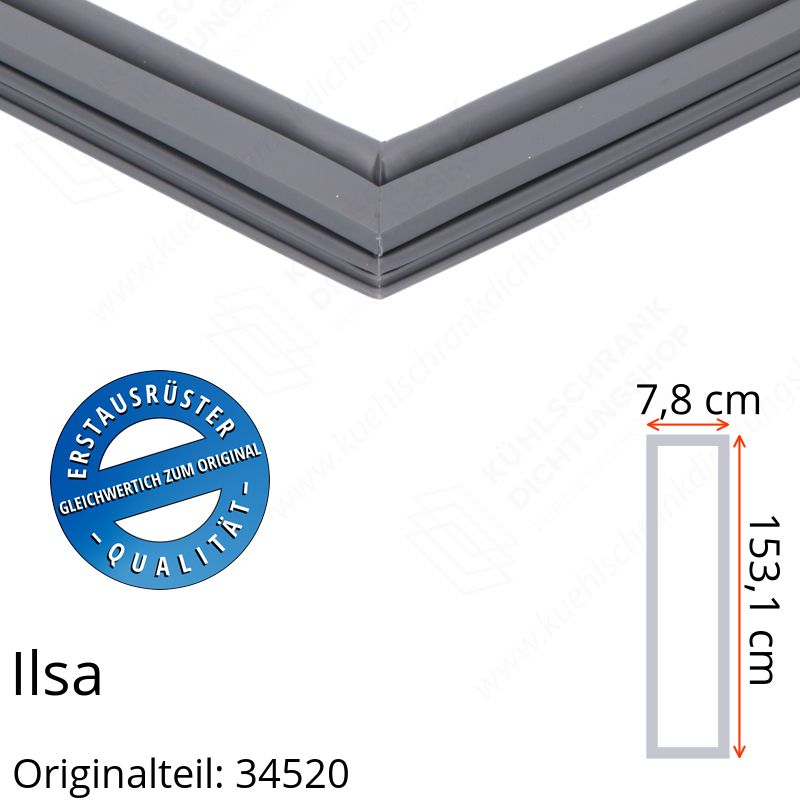 Ilsa Türdichtung 153,1 x 37,8 cm Ersatzteil: 34520 für verschiedene Modelle