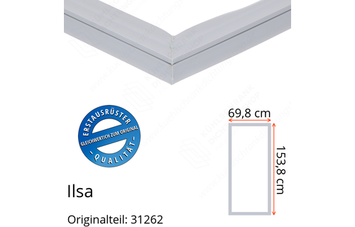 Ilsa Türdichtung 153,8 x 69,8 cm Ersatzteil: 31262 für verschiedene Modelle