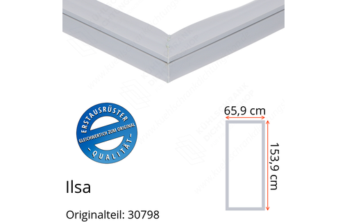 Ilsa Türdichtung 153,9 x 65,9 cm Ersatzteil: 30798 für verschiedene Modelle