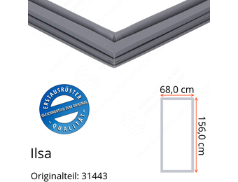 Ilsa Türdichtung 156,0 x 68,0 cm Ersatzteil: 31443 für verschiedene Modelle