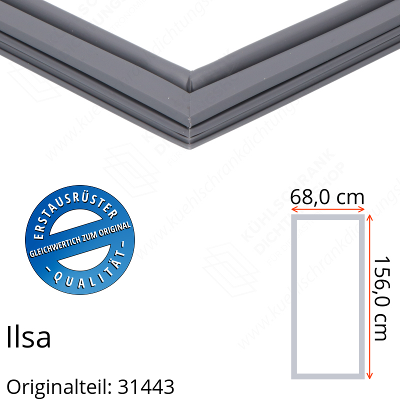 Ilsa Türdichtung 156,0 x 68,0 cm Ersatzteil: 31443 für verschiedene Modelle