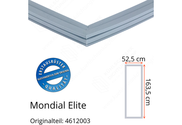 Mondial Elite Türdichtung 163,5 x 52,5 cm Ersatzteil: 4612003 für verschiedene Modelle