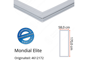 Mondial Elite Türdichtung 170,0 x 58,0 cm Ersatzteil: 4612172 für verschiedene Modelle