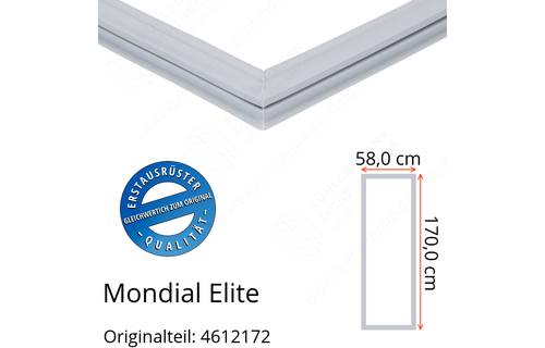 Mondial Elite Türdichtung 170,0 x 58,0 cm Ersatzteil: 4612172 für verschiedene Modelle