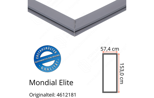 Mondial Elite Türdichtung 153,0 x 57,4 cm Ersatzteil: 4612181 für verschiedene Modelle