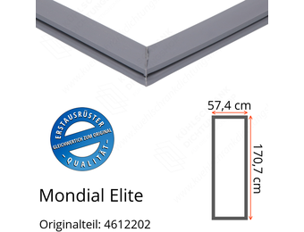 Mondial Elite Türdichtung 170,7 x 57,4 cm Ersatzteil: 4612202 für verschiedene Modelle