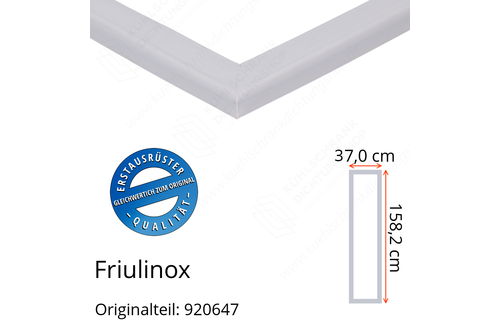 Friulinox Türdichtung 158,2 x 37,0 cm Ersatzteil: 920647