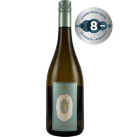 Weingut Leitz Zero-Point-Five Sauvignon Blanc 0,5%