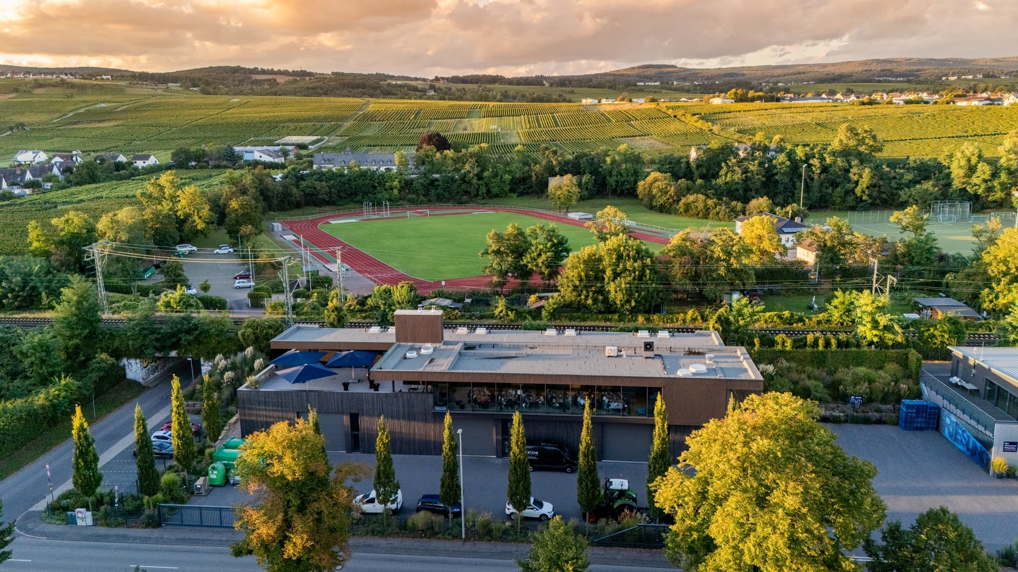 Wijngaarden van Weingut Leitz in Rüdesheim am Rhein
