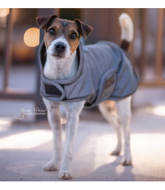 Kentucky Dog Coat Reflective & Water Repellent