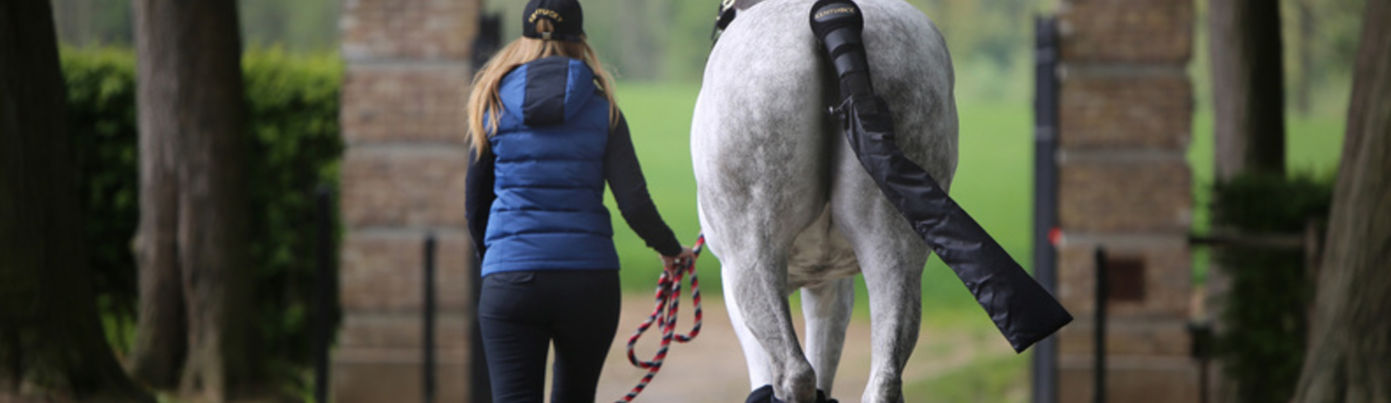 Inpaklijst voor als je met je paard op reis gaat