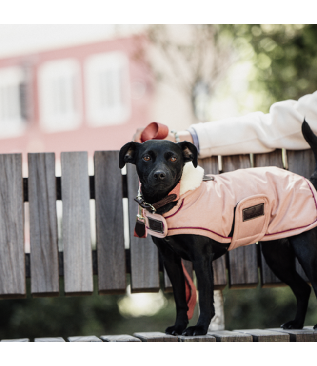 Hondenjas Waterproof Koraal Ruitersport Maddelin