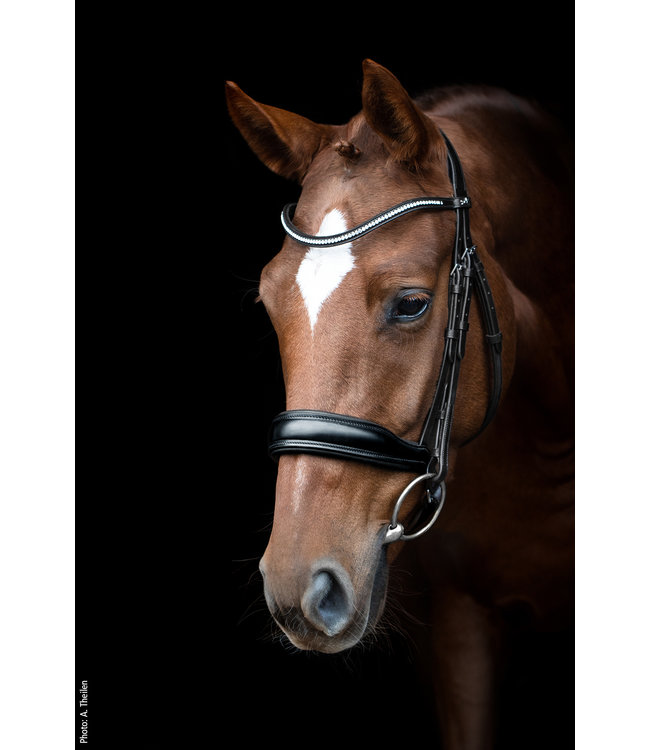 SLIMFORD ANATOMICAL BRIDLE - Equestrian 