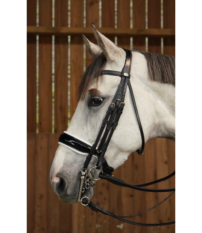 Large Crank Noseband Double Bridle Working Ruitersport Maddelin