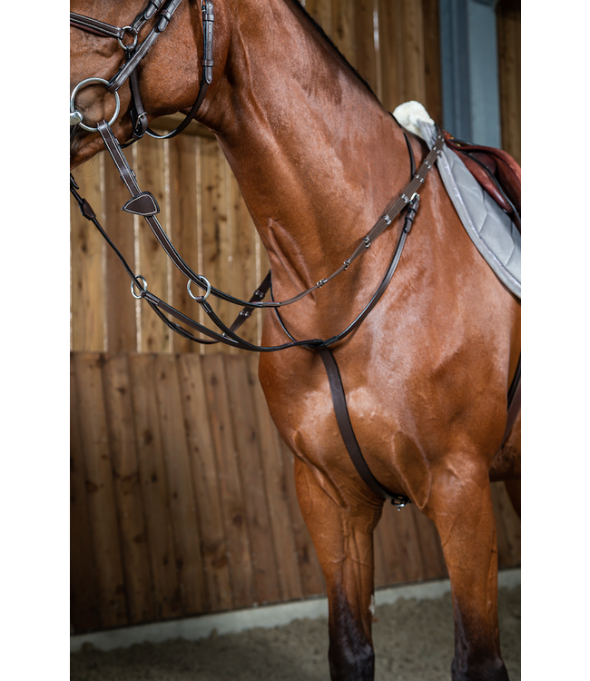 Running Martingale Working Collection Ruitersport Maddelin