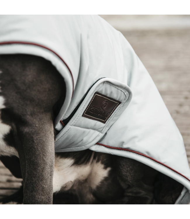 Hondenjas Waterproof Koraal Ruitersport Maddelin