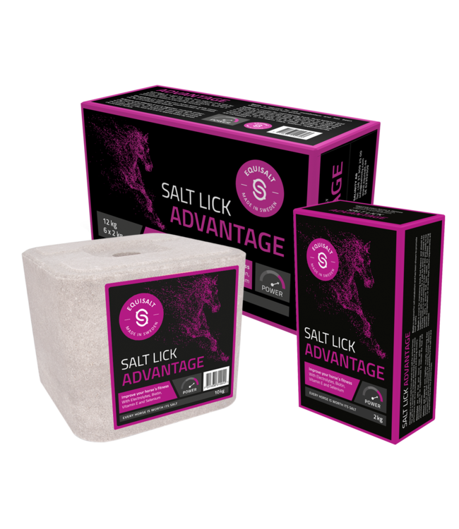 Salt Lick Advantage 2kg Maddelin équestre
