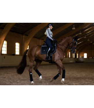 Equestrian Stockholm Saddle Pad Sportive Luminous Black