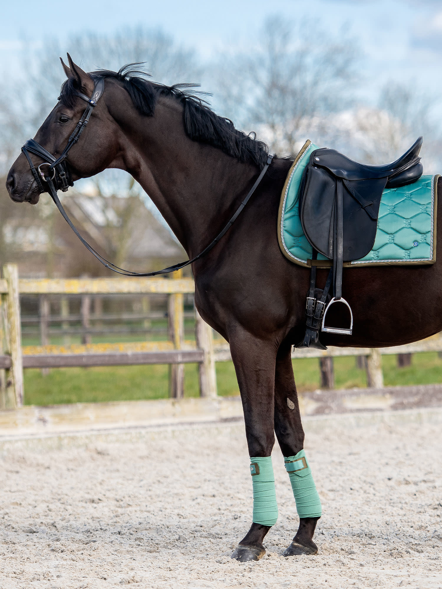 Saddle Pad Dressage Signature Celadon Ruitersport Maddelin