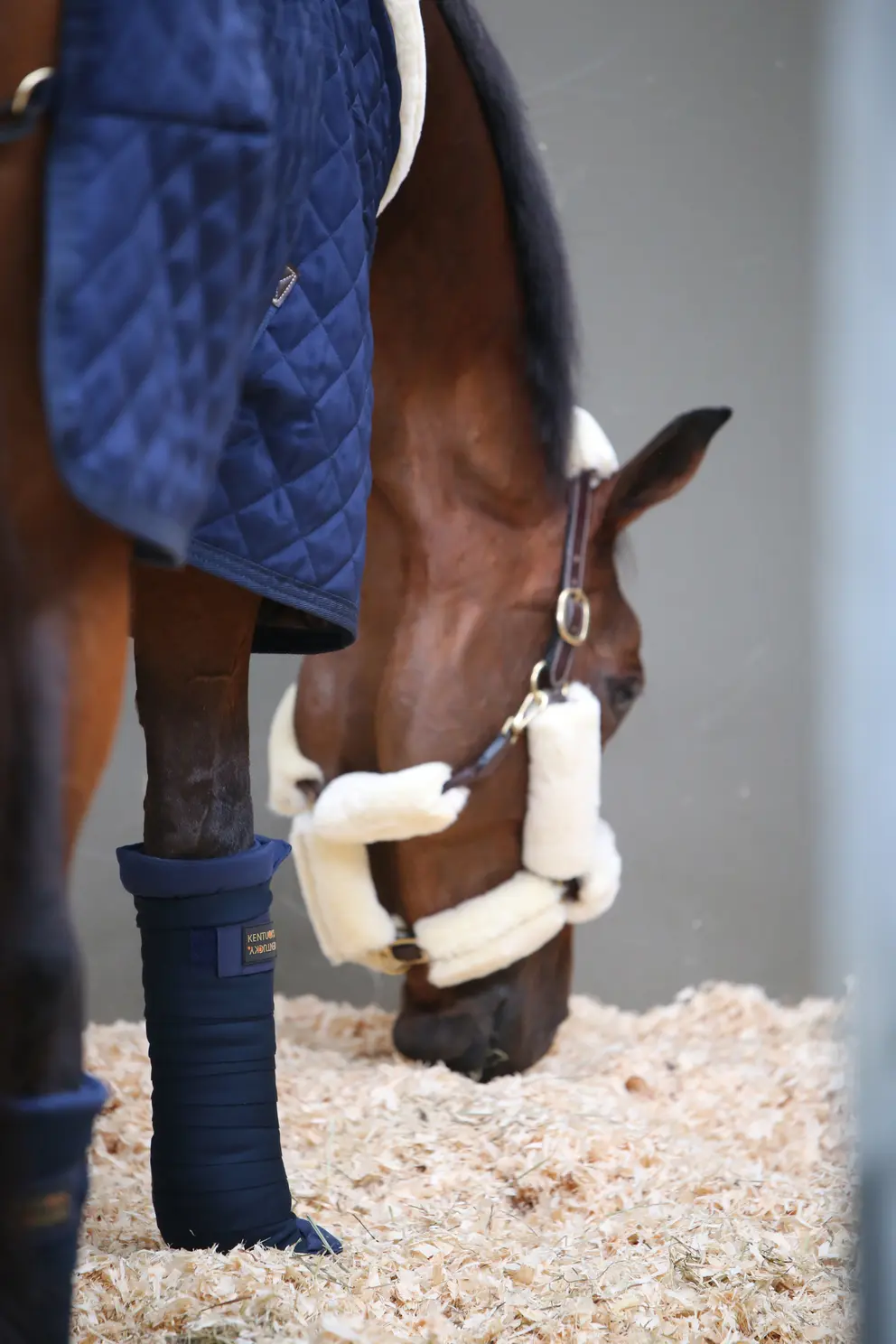Stable bandage pads Ruitersport Maddelin