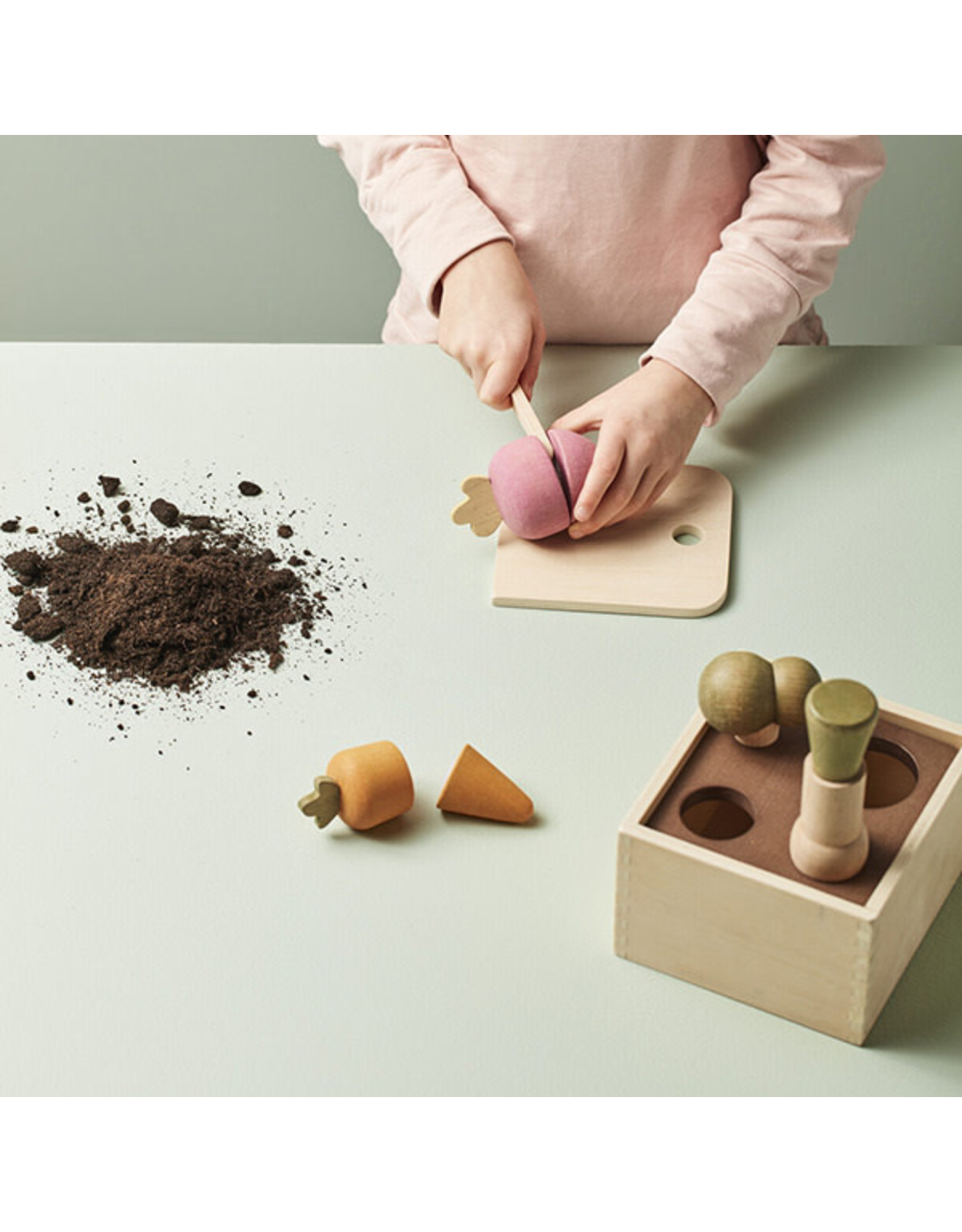 Kids Concept Potager