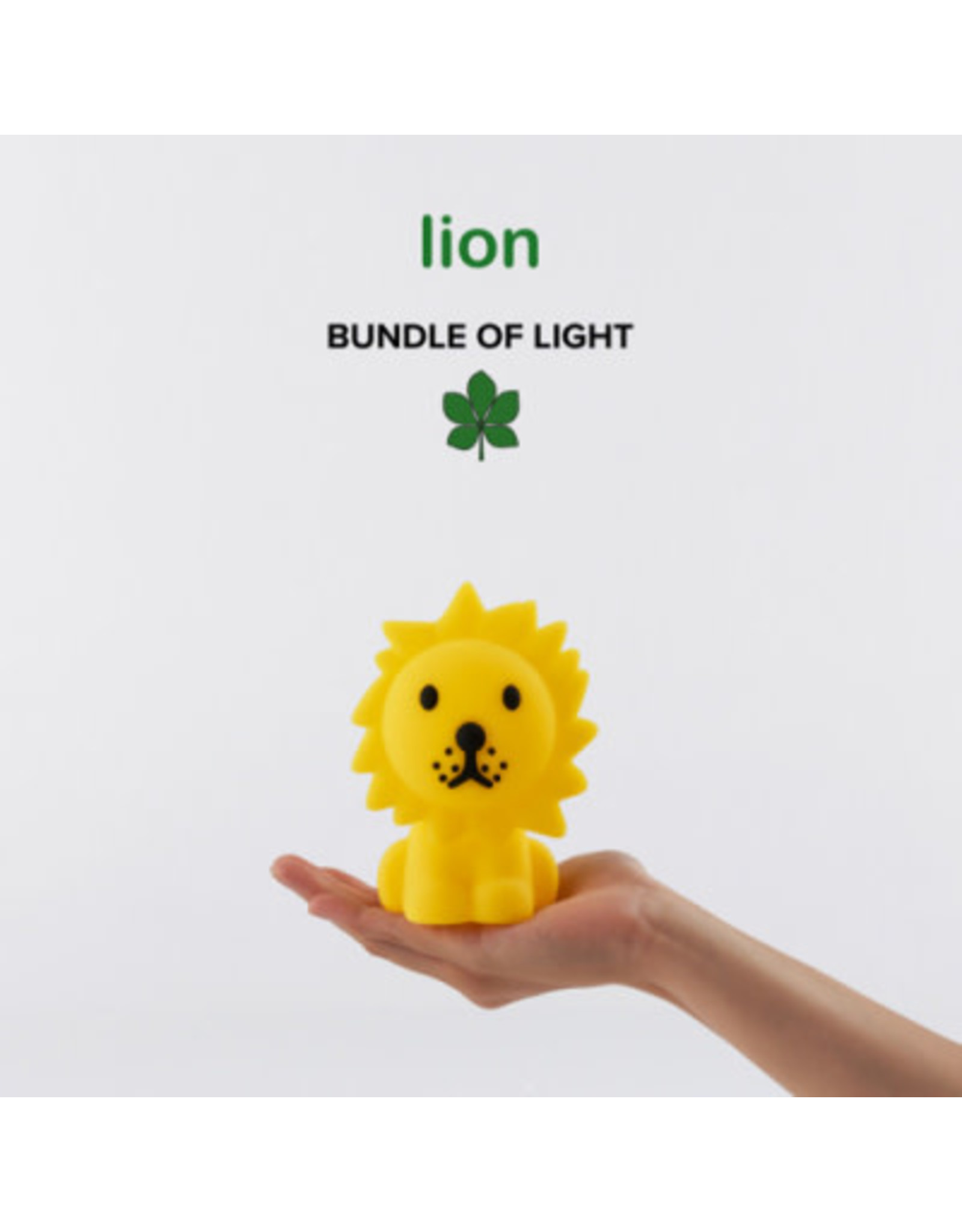 Mr Maria Lion Bundle of Light