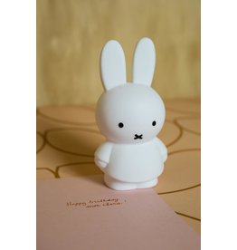 Atelier Pierre Tirelire Miffy - Small