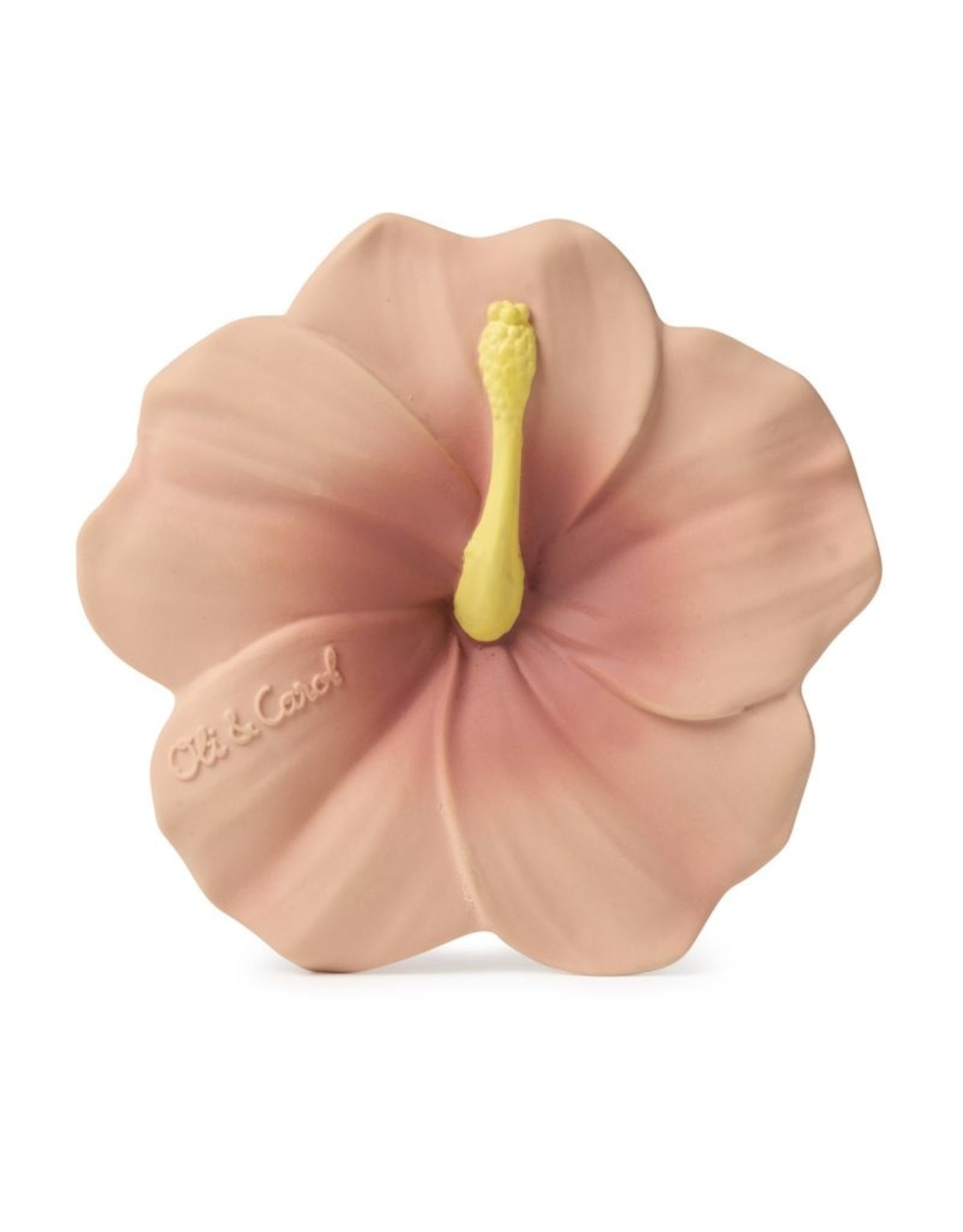 Oli & Carol IRIS  l’hibiscus  de dentition