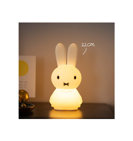 Mr Maria Miffy Shines