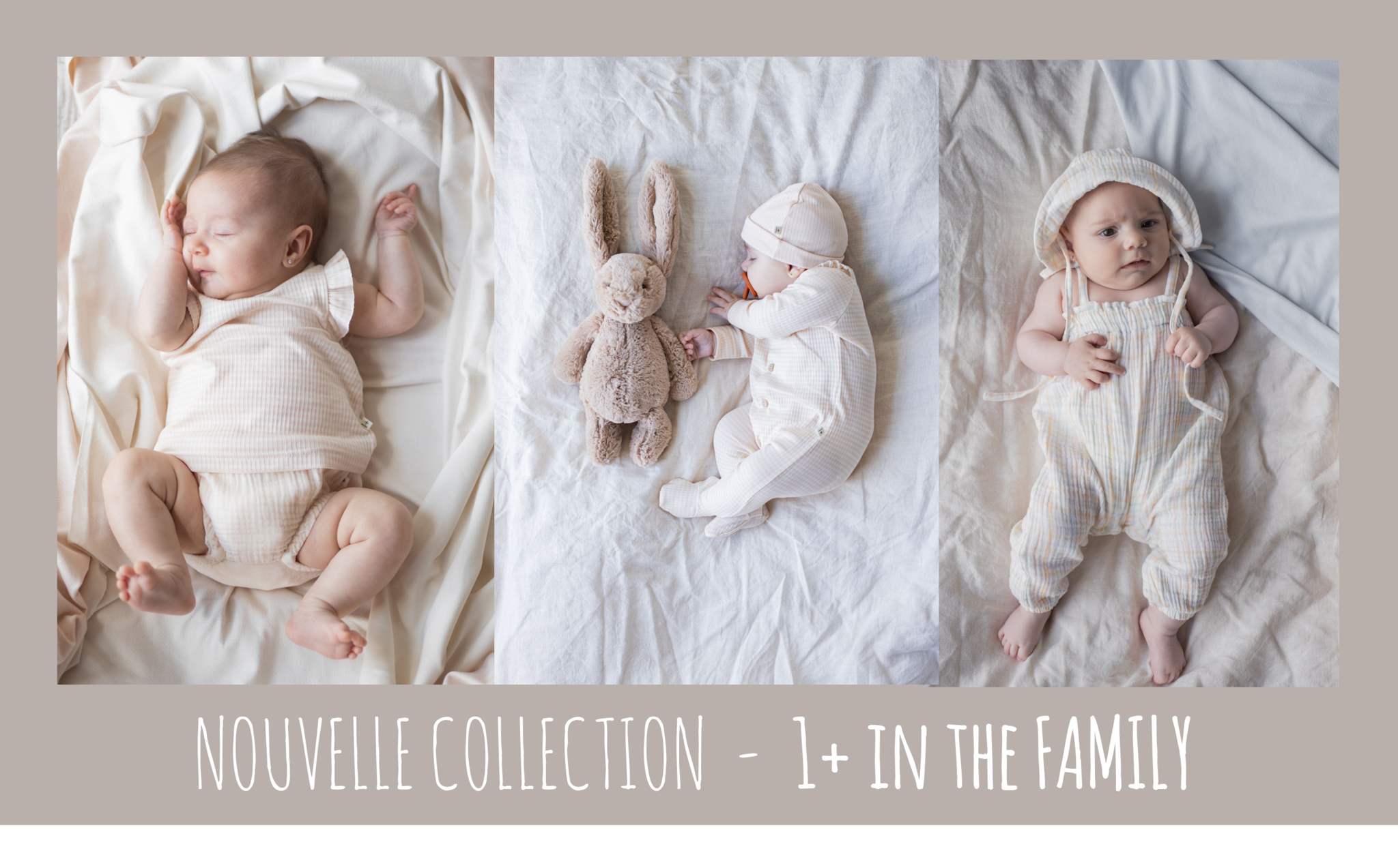 Nouvelle collection 1+ in the family 