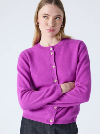 Absolut Cashmere Absolut Cashmere Maddelena Trui purple neon