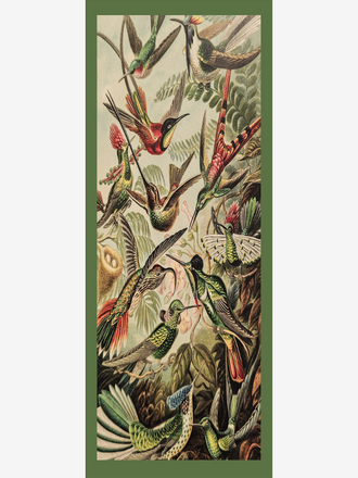 La Salle La Salle Shawl Print birds green