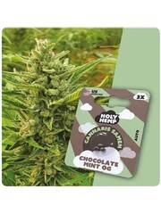 Holy Hemp Holy Hemp Cannabis Samen - Chocolate Mint OG (3 Stück)