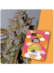 Holy Hemp Holy Hemp Cannabis Samen - Mango Smile (3 Stück) - Made in USA