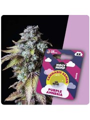 Holy Hemp Holy Hemp Cannabis Samen - Purple Amnesia (3 Stück) - Made in USA