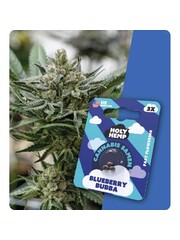 Holy Hemp Holy Hemp Cannabis Samen - Blueberry Bubba (3 Stück)