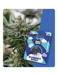 Holy Hemp Holy Hemp Cannabis Samen - Blueberry Bubba (3 Stück) - Made in USA